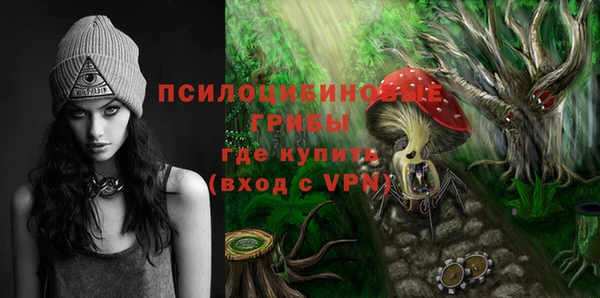 амф Абаза