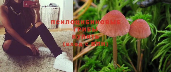 каннабис Алексеевка