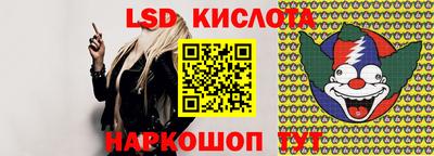 индика Новозыбков