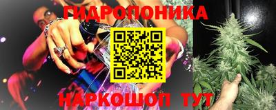 индика Новозыбков