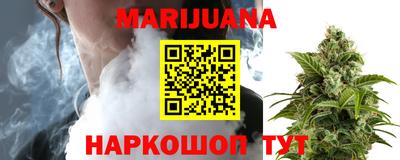 индика Новозыбков