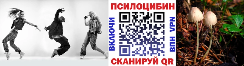 Псилоцибиновые грибы MAGIC MUSHROOMS  Искитим 